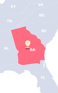 georgia state sales tax number